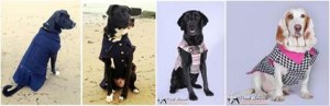 Dogs Modeling Custom Coats